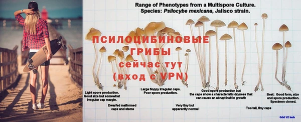 гашишное масло Абдулино