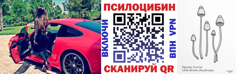Псилоцибиновые грибы Cubensis наркошоп Сорск
