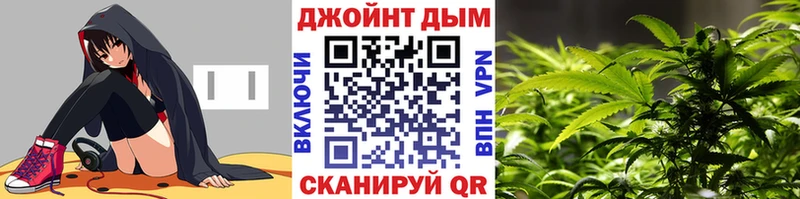 дарнет шоп Сорск Канабис семена